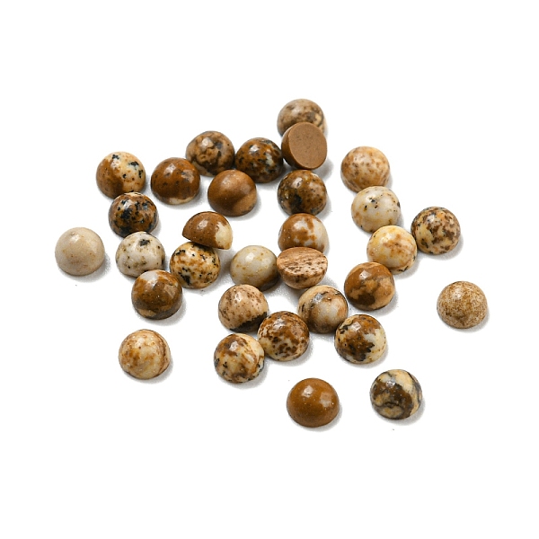 

PandaHall Natural Picture JasperCabochons, Half Round, 3x1.5mm Picture Jasper Half Round