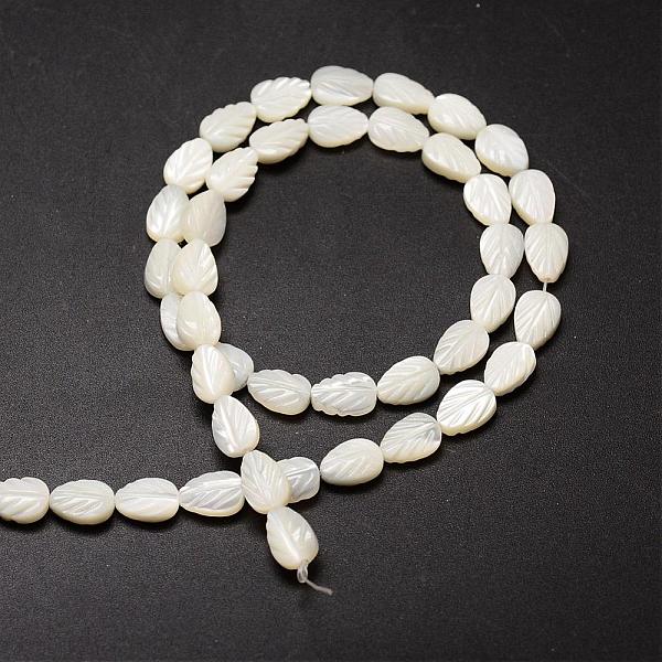 

PandaHall Natural Trochid Shell/Trochus Shell Beads Strands, Leaf, Creamy White, 9x6x3~4mm, Hole: 1mm, about 44pcs/strand, 15.35 Trochus...