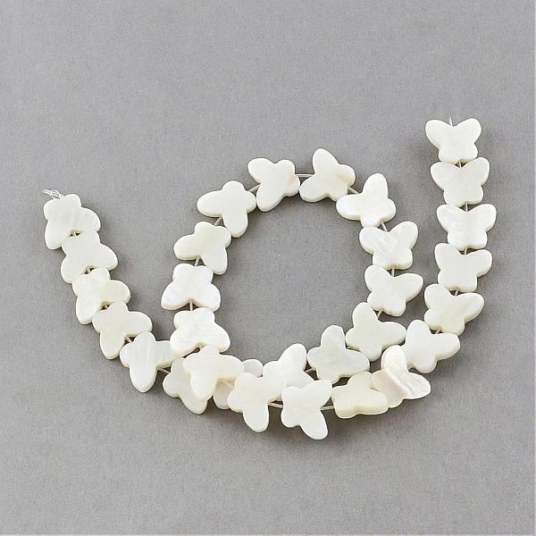 Natural Sea Shell B… - image