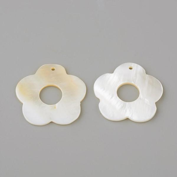 Freshwater Shell Pe… - image