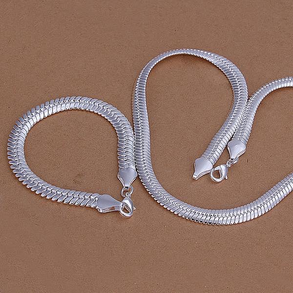 

PandaHall Trendy Silver Color Plated Brass Party Jewelry Sets For Men, Flat Snake Chain Necklaces and Bracelets, 18 inch, 200mm, Width: 10mm...