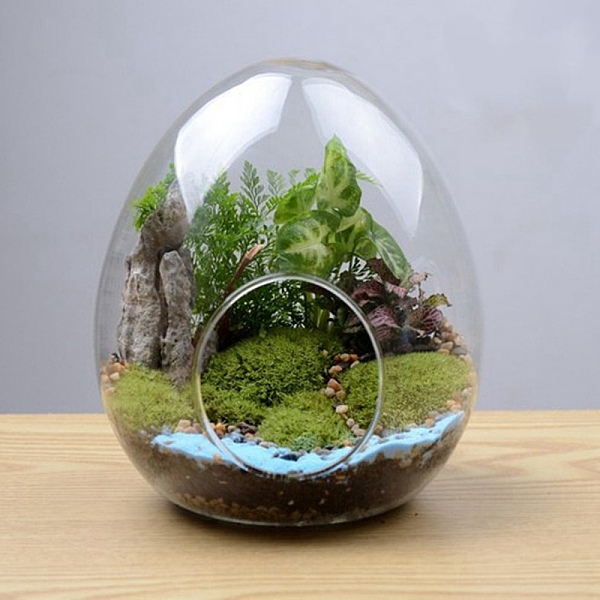 

PandaHall Egg-Shaped Glass Vase, Hydroponic Succulent Micro-Landscape Glass Bottle, Moss Home Decoration, Clear, 120x150mm Glass Egg Clear