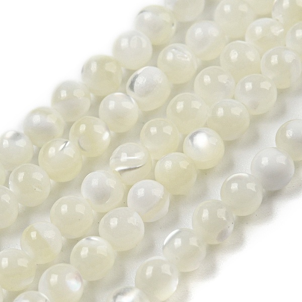 

PandaHall Natural Trochid Shell/Trochus Shell Beads Strands, Bleach, Round, White, 3~3.5mm, Hole: 0.6~0.8mm, about 119pcs/strand, 15''...
