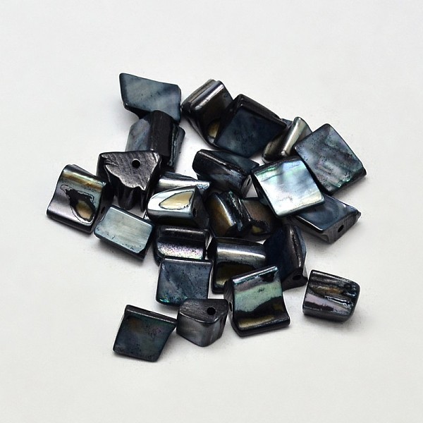 

PandaHall Dyed Natural Freshwater Shell Chip Beads, Prussian Blue, 8~15x7~8mm, Hole: 1mm, about 75pcs/50g Freshwater Shell Chip