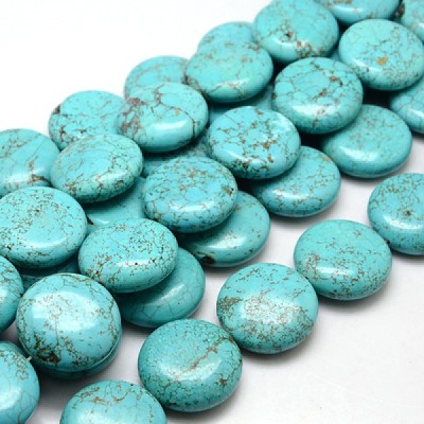 

PandaHall Natural Magnesite Beads Strands, Dyed & Heated, Flat Round, Turquoise, 30x12mm, Hole: 1mm, about 61pcs/1000g Magnesite Flat Round..., Green
