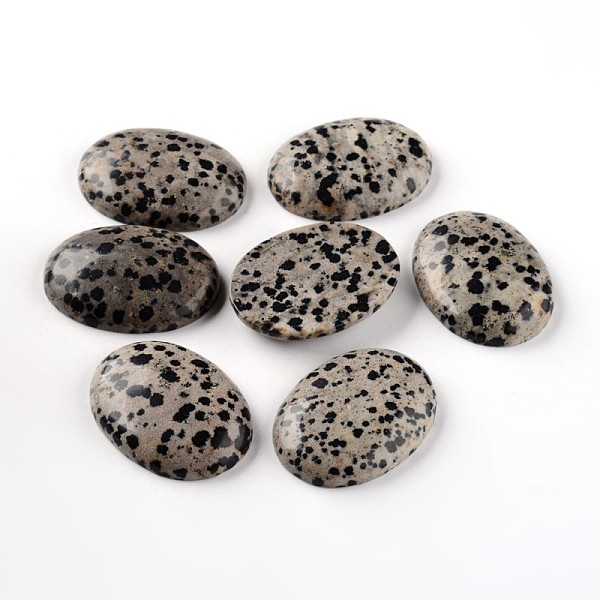 

PandaHall Oval Natural Dalmatian Jasper Cabochons, 40x30x8mm Dalmatian Jasper Oval