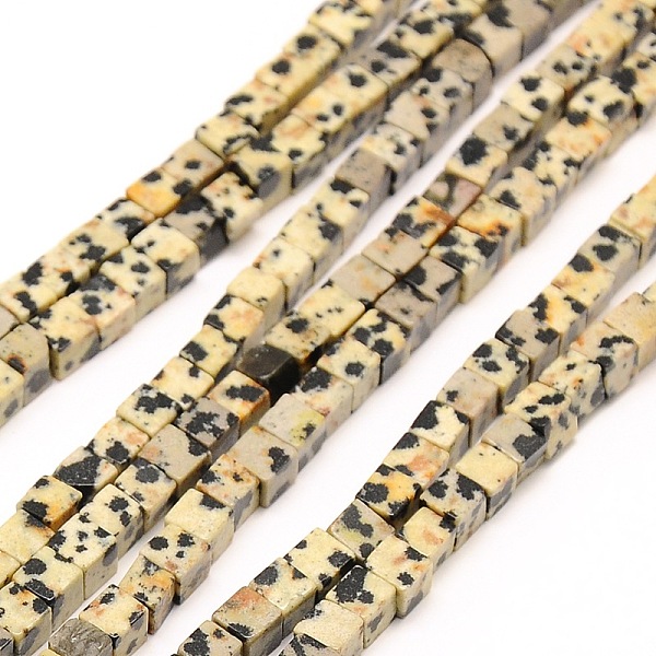 Natural Dalmatian J… - image