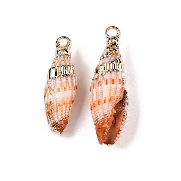 Natural Sea Shell P… - image