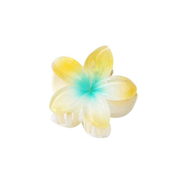 Plastic Claw Hair C… - image