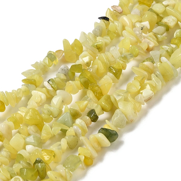 

PandaHall Natural Lemon Jade Chip Bead Strands, 5~8x5~8mm, Hole: 1mm, about 31.5 inch Lemon Jade Chip
