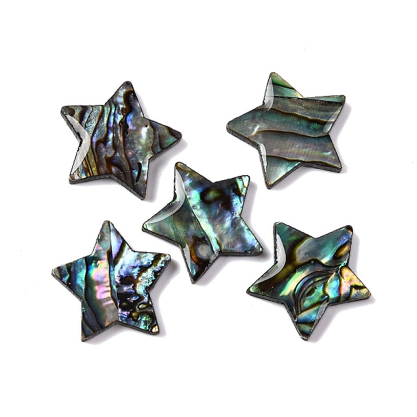 Natural Paua Shell … - image