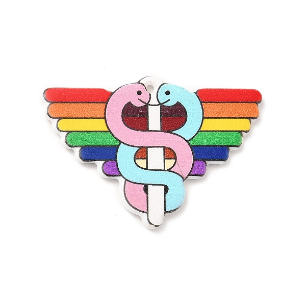 

PandaHall Pride Acrylic Pendants, Magnete Medico Symbol, Colorful, 31x42x2mm, Hole: 1.4mm Acrylic Others