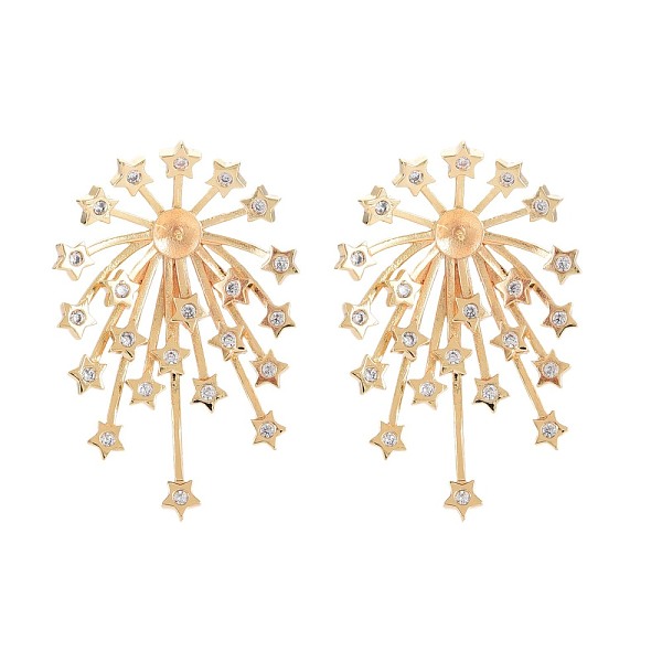 

PandaHall Brass Micro Pave Clear Cubic Zirconia Stud Earring Findings, for Half Drilled Beads, Nickel Free, Fireworks, Real 18K Gold Plated...
