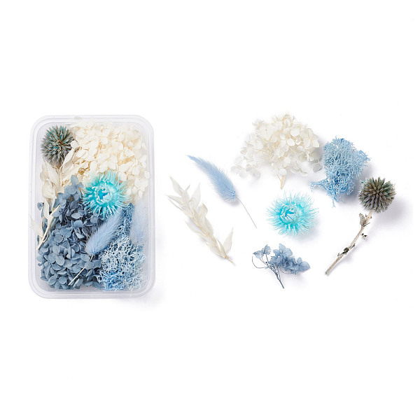 PandaHall Dried Flowers, DIY Candle Soap Making Accessories, with Plastic Rectangle Box, Mixed Color, 2.4~13x1.4~10.8cm Dried Flower...