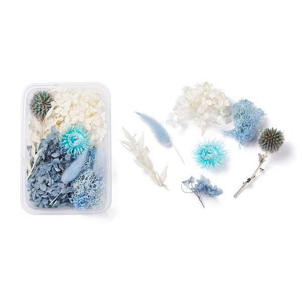 

PandaHall Dried Flowers, DIY Candle Soap Making Accessories, with Plastic Rectangle Box, Mixed Color, 2.4~13x1.4~10.8cm Dried Flower..., Multicolor
