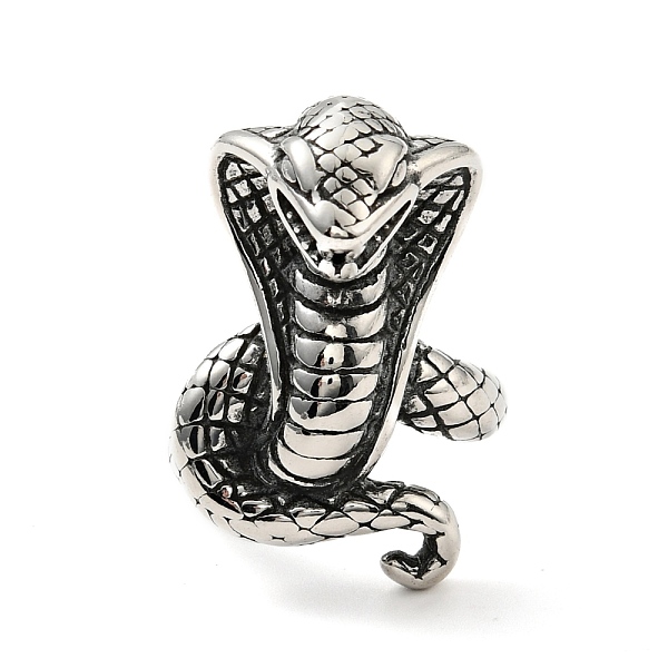 

PandaHall 316 Stainless Steel Snake Finger Ring, Gothic Jewelry for Women, Antique Silver, US Size 7 3/4(17.9mm) 316 Surgical Stainless...