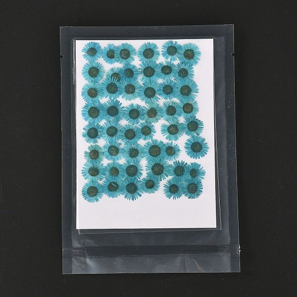 

PandaHall Centaurea Iberica Embossing Dried Flower, for Cellphone, Photo Frame, Scrapbooking DIY Handmade Craft, Dark Cyan, 13~19x17~22mm...