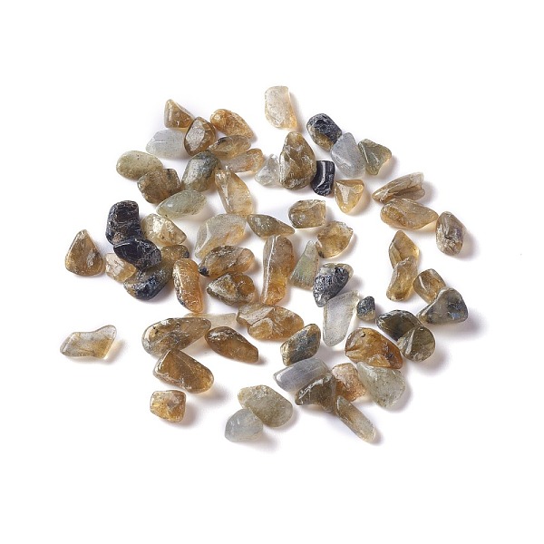 PandaHall Natural Labradorite Chip Beads, No Hole/Undrilled, 2~12x2~10x1~3mm, about 11200pcs/1000g Labradorite Chip