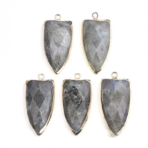 

PandaHall Natural Labradorite Pendants, with Brass Findings, Faceted, Shield, Golden, 32~33x15x6mm, Hole: 1.5mm Labradorite Others