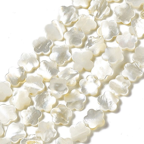 

PandaHall Natural White Shell Beads Strands, Flower, Seashell Color, 10x10x2mm, Hole: 0.5mm, about 39pcs/strand, 15.28 inch(38.8cm) White...