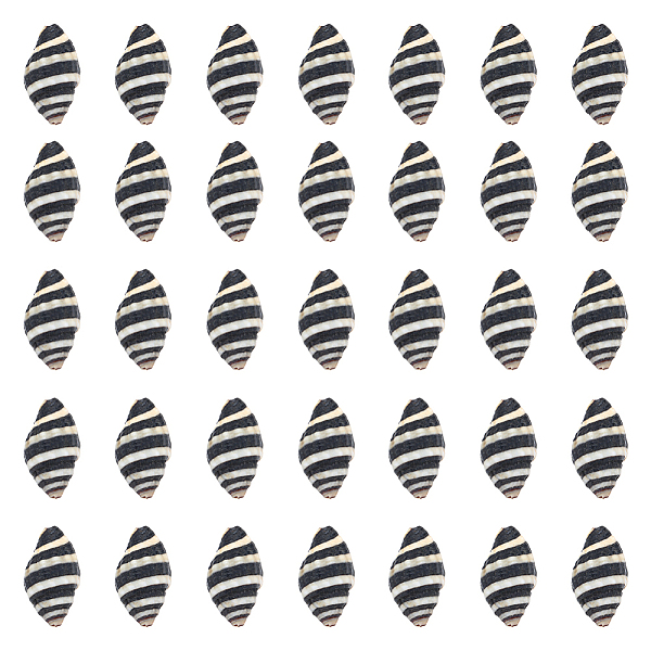 

PandaHall SUNNYCLUE 1 Box 50Pcs Spiral Shells Small Spiral Seashells Vase Fillers Zebra Pattern Hawaii Style Sea Ocean Beach Black White...
