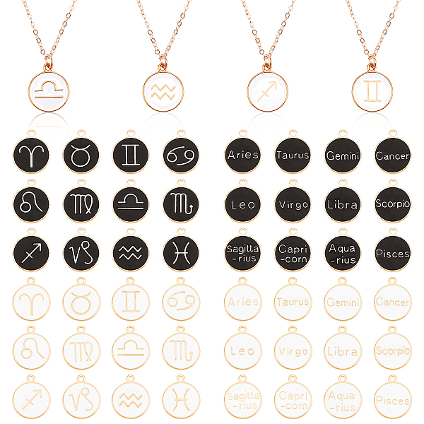 

PandaHall 48pcs Constellation Zodiac Pendant Charms, White Black Metal Horoscope Twelve Constellation Zodiac Sign Enamel Pendants for DIY..., Multicolor