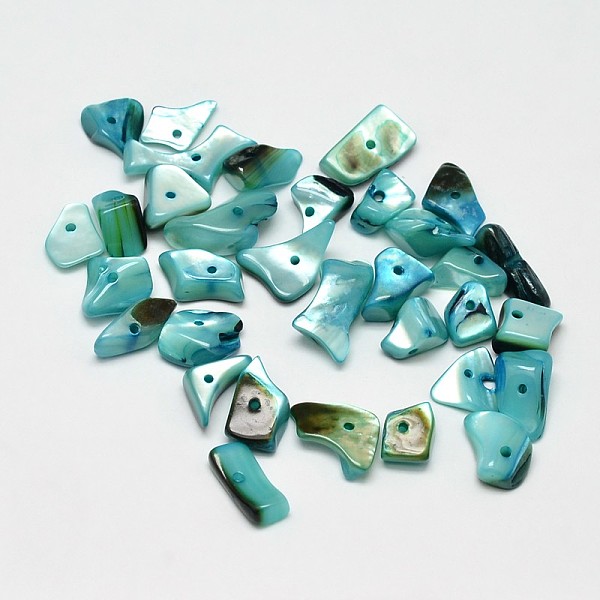

PandaHall Dyed Natural Shell Nuggets Chips Beads, Dark Cyan, 11~16x6~9mm, Hole: 1mm, about 980pcs/500g Other Sea Shell Chip Cyan