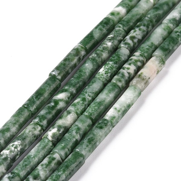 

PandaHall Natural Green Spot Jasper Beads Strands, Column, 4x13~14mm, Hole: 1.2mm, about 29pcs/strand, 15.39''(39.1cm) Green Spot Jasper...