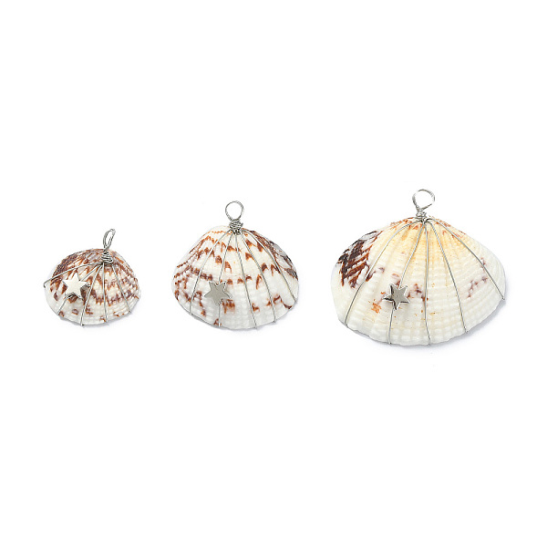 

PandaHall Natural Clam Shell Copper Wire Wrapped Pendants, Dyed Shell Chams with Brass Star Beads, Platinum, 21~32x23.5~37x8~10mm, Hole...
