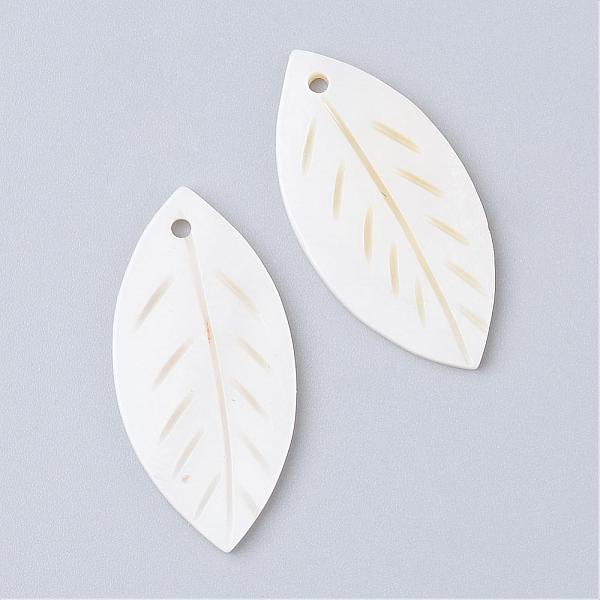 Freshwater Shell Pe… - image