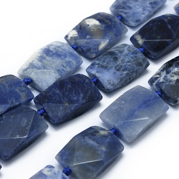 

PandaHall Natural Sodalite Beads Strands, Faceted, Rectangle, 23.5~24.5x17.5~18x7.5~9mm, Hole: 1.5mm, about 15pcs/strand, 15.6~16.8 inch..., Blue