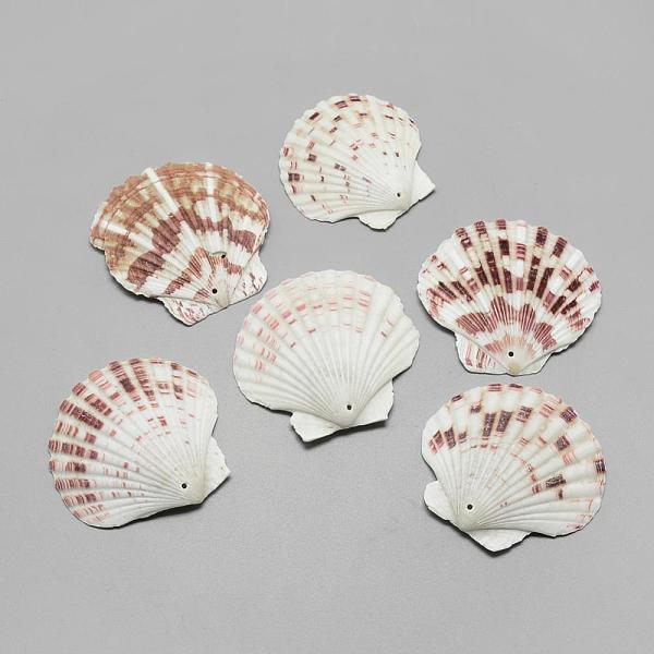 Sea Shell Big Penda… - image