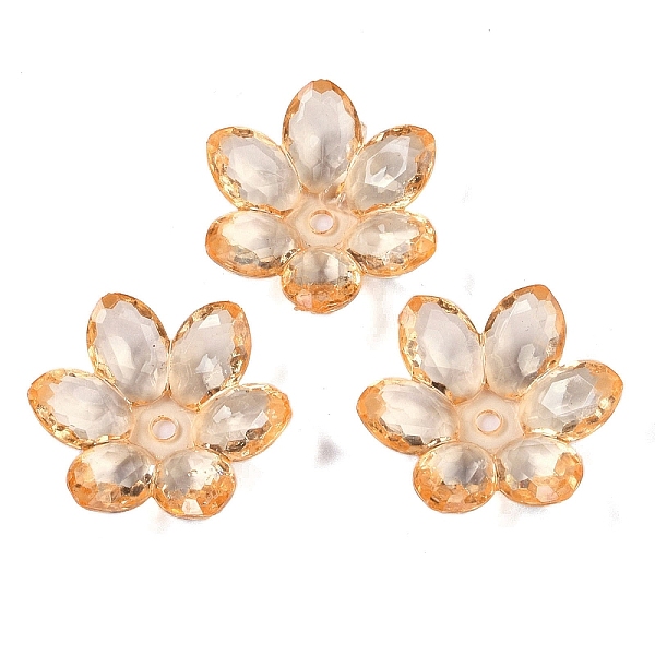 

PandaHall Transparent Acrylic Beads, Flower, Sandy Brown, 23.5x21x6.5mm, Hole: 2mm, 462pcs/500g Acrylic