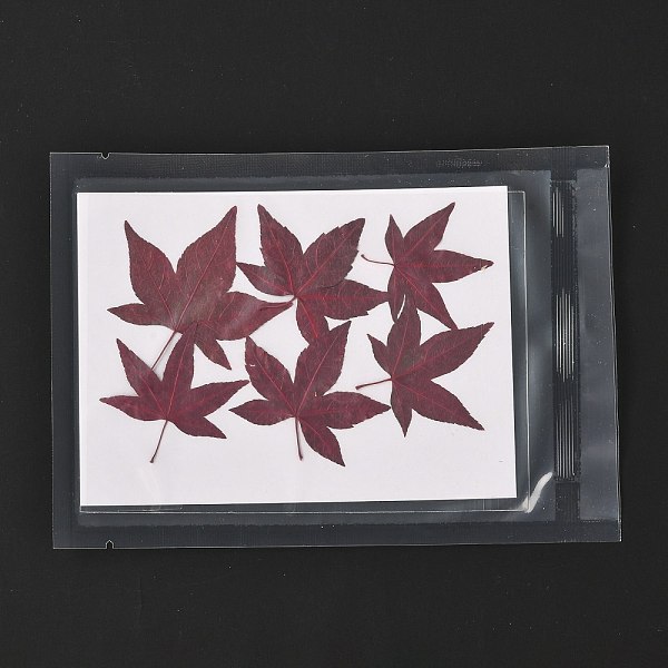 

PandaHall Maple Leaf Embossing Dried Flower, for Cellphone, Photo Frame, Scrapbooking DIY Handmade Craft, Brown, 40~65x39~57mm, 6pcs/bag...