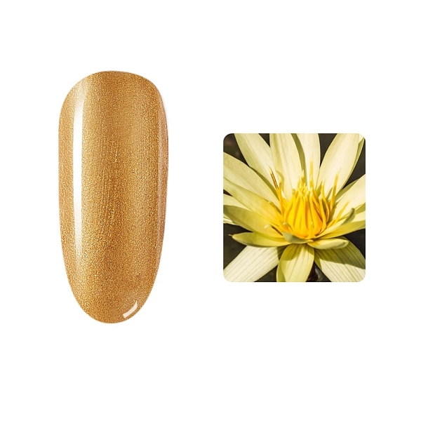 

PandaHall 7ml Nail Gel, For Nail Art Design, Goldenrod, 3.2x2x7.1cm, net content: 7ml Resin Gold