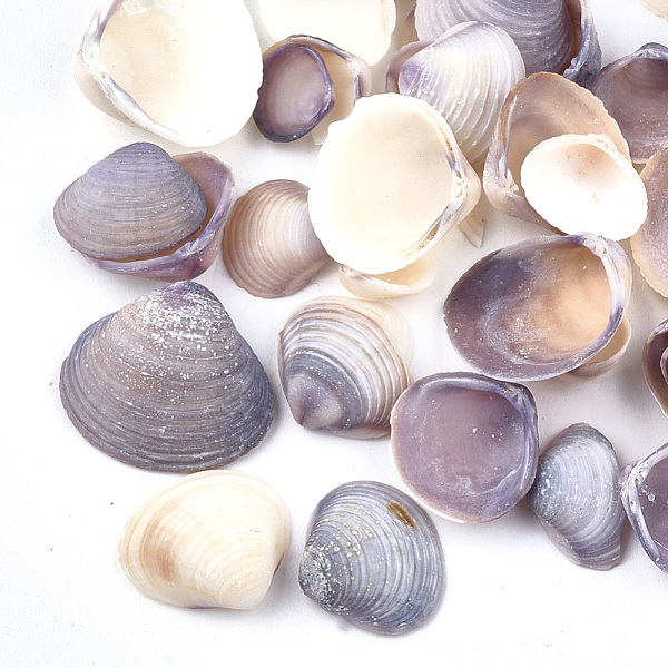 

PandaHall Clam Shell Beads, Undrilled/No Hole Beads, Medium Purple, 7~17x8~17x2~6mm Other Sea Shell Shell Shape Purple