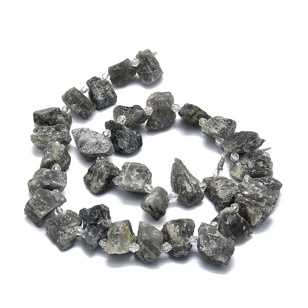 

PandaHall Raw Rough Natural Labradorite Beads Strands, Chip, 10~15x6~9x5~7mm, Hole: 0.8mm, about 32~33pcs/strand, 15.55''(39.5cm)...
