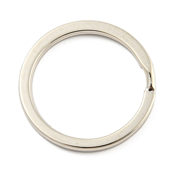 

PandaHall Alloy Split Rings, Double Loops Jump Rings, Platinum, 25x2mm, Inner Diameter: 20mm Alloy Ring