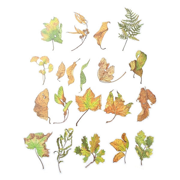 

PandaHall 20Pcs 20 Styles Autumn PET Waterproof Stickers, Self-Adhesive Decals for DIY Scrapbooking, Photo Album Decoration, Leaf, Lime...