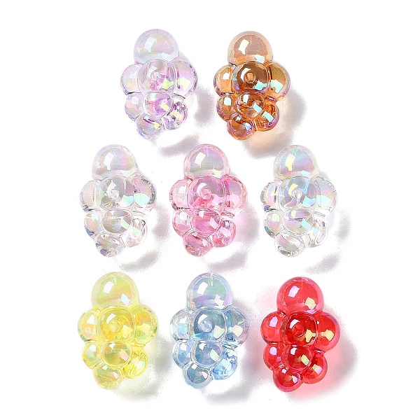 

PandaHall Transparent Acrylic Beads, Grape, Mixed Color, 33x22x17mm, Hole: 2mm Acrylic Grape Multicolor