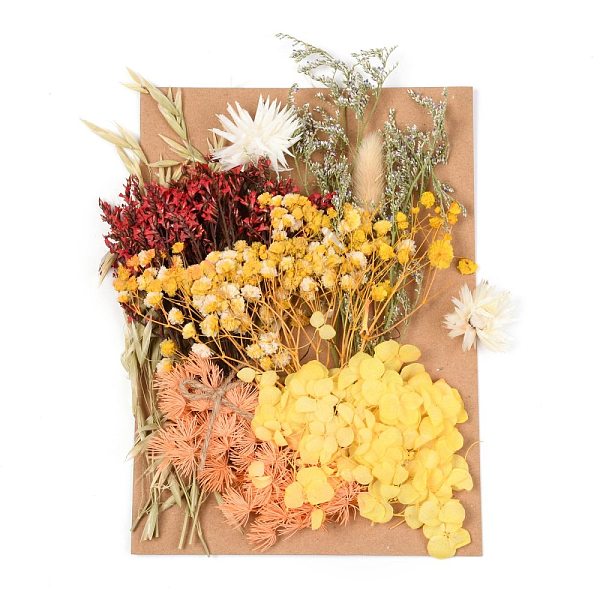

PandaHall Dried Flower, for Bridal Shower, Wedding, Preserved Fresh Flower, Yellow, 210x148x14~24.5mm Dried Flower Yellow