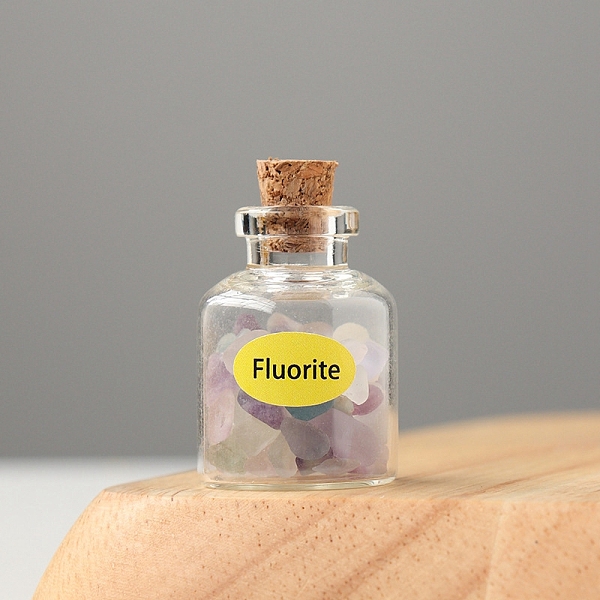 

PandaHall Natural Fluorite Display Decorations, Reiki Energy Stone Chip Wishing Bottle, 20x30mm Fluorite Bottle