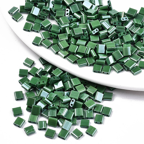 

PandaHall 2-Hole Glass Seed Beads, Opaque Colours Lustered, Rectangle, Green, 5x4.5~5.5x2~2.5mm, Hole: 0.5~0.8mm, about 1180pcs/bag Glass...