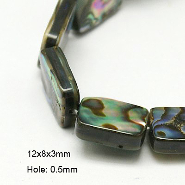 Natural Abalone She… - image