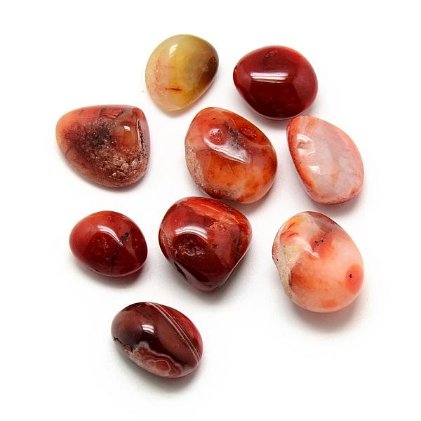 

PandaHall Natural Carnelian Stone Gemstone Beads, Tumbled Stone, Healing Stones for 7 Chakras Balancing, Crystal Therapy, Meditation, Reiki...
