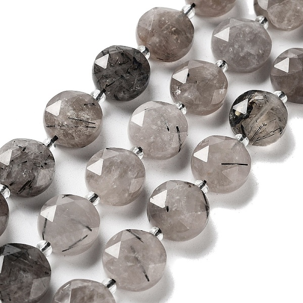 

PandaHall Natural Black Rutilated Quartz Beads Strands, with Seed Beads, Faceted Hexagonal Cut, Flat Round, 12~12.5x5~6mm, Hole: 1.2~1.4mm...