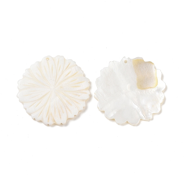

PandaHall Natural Freshwater Shell Pendants, Flower Charm, Seashell Color, 37.5x38x4mm, Hole: 1.5mm Freshwater Shell Flower