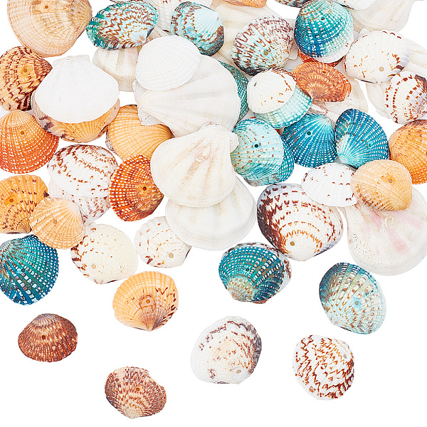 

PandaHall 200G 4 Styles Dyed Natural Mixed Shell Beads Sets, Mixed Color, 24~45x20~42x6~10mm, hole: 1~2mm, 50g/style Mixed Shell Shell..., Multicolor