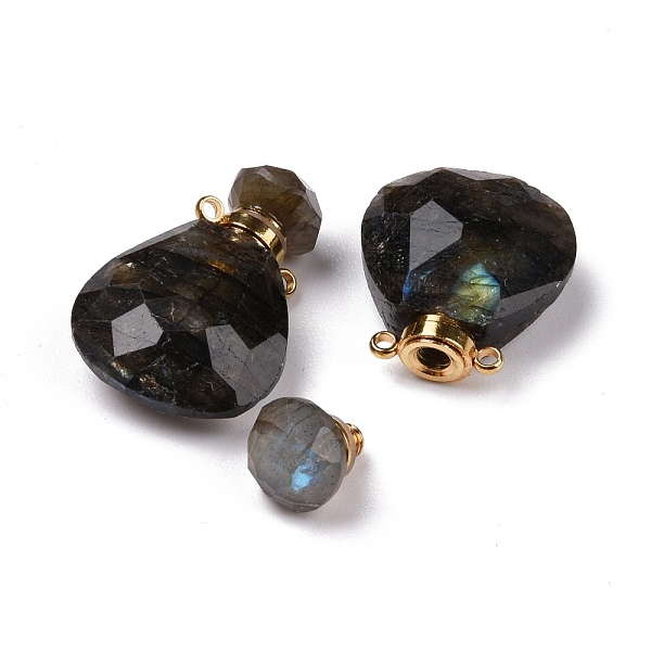 

PandaHall Teardrop Natural Labradorite Perfume Bottle Pendants, with 304 Stainless Steel Findings, Faceted, Golden, 26~26.5x17x8~8.5mm, Hole...
