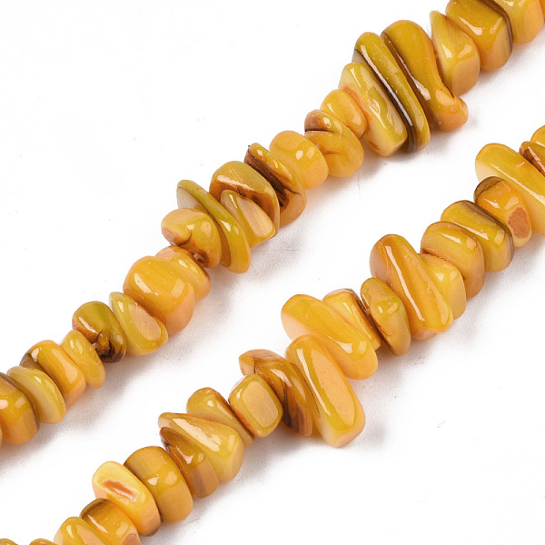 

PandaHall Natural Trochid Shell/Trochus Shell Beads Strands, Dyed, Chips, Goldenrod, 7~22x5~8x1~6.5mm, Hole: 1mm, about 96~111pcs/strand..., Gold
